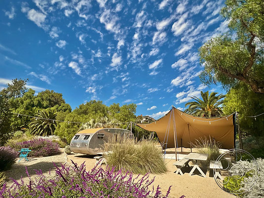 zen-garden-108-webp-medium